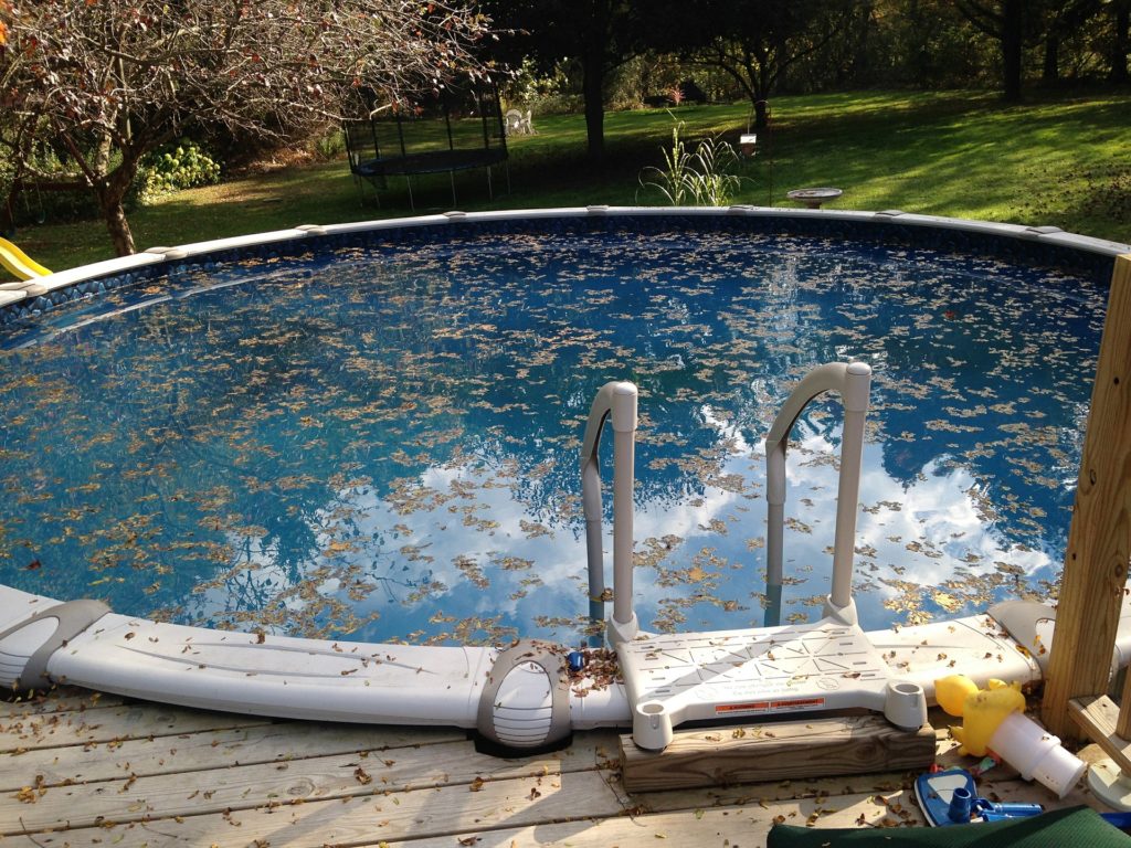 Manutenção de piscinas - folhas