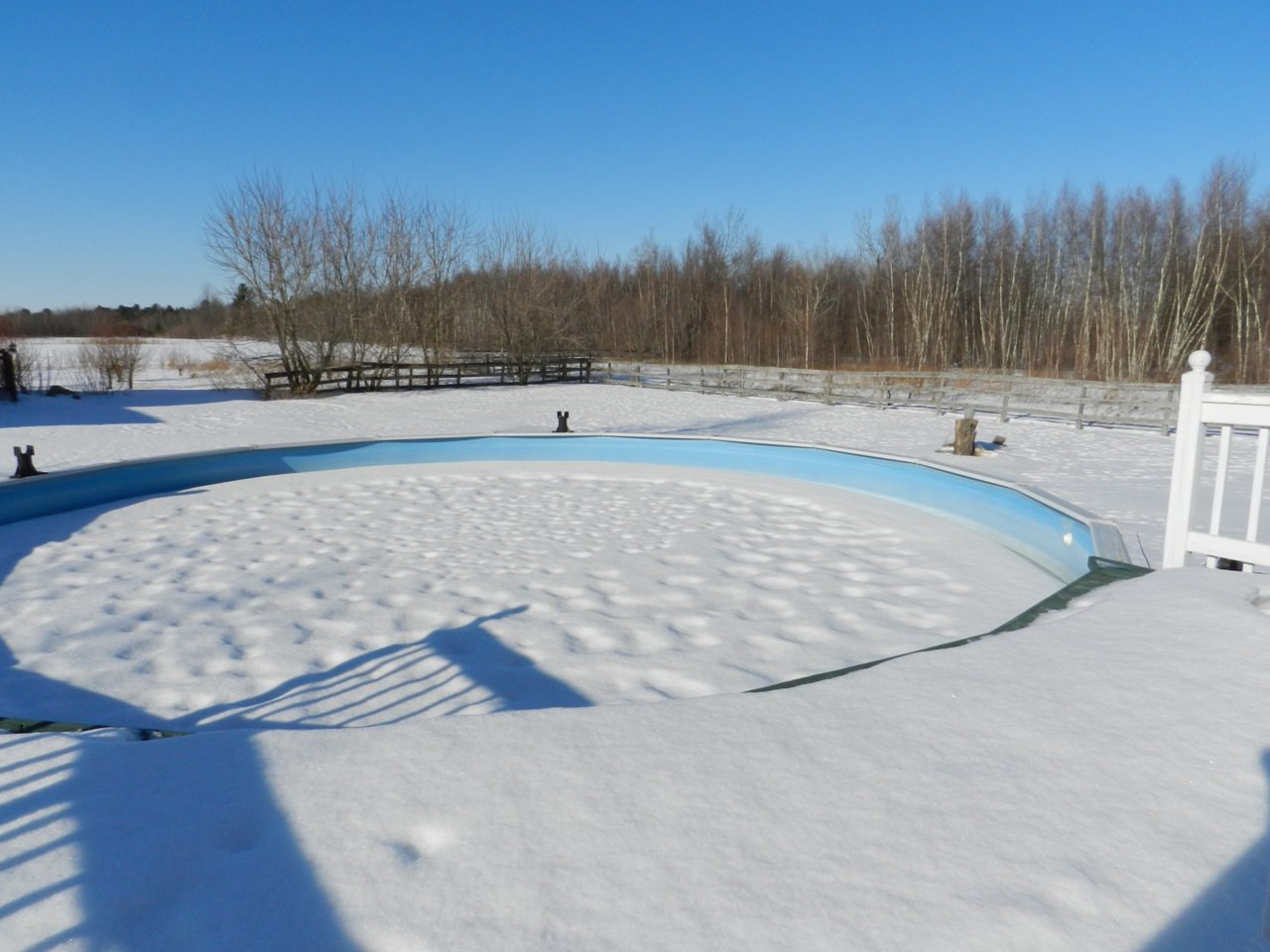 esvaziar piscina no inverno sim ou não